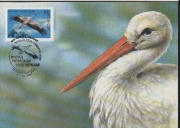 RUSSIA ZSSR USSR CCCP FDC FDI 1991 BIRDS CICONIA CICONIA WHITE STORK MAXI MAXIMUM CARD CARTE Fauna - Storks & Long-legged Wading Birds