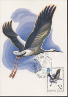 RUSSIA ZSSR USSR CCCP FDC FDI 1982 BIRDS CICONIA BOYCIANA Oriental Stork MAXI MAXIMUM CARD CARTE Fauna Animals - Storchenvögel