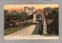 43669     Regno  Unito,    Carisbrooke  Castle (Isle  Of  Wight)  -  The  Outer  Elizabethian  Gateway,  VG  1909 - Altri & Non Classificati