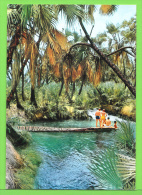 ETHIOPIA / PALM BATHS HOT MINERAL SPRINGS NEAR AWASH STATION.... / Carte Vierge - Ethiopie