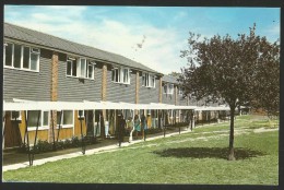 CHIGWELL The Dormitory Houses Grange Farm Centre Epping Forest 1972 - Other & Unclassified