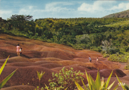 ILE MAURICE,MAURITIUS,archipel Des Mascareignes,océan Indien,ile Volcanique,CHAMAREL,terre Rouge,lave - Andere & Zonder Classificatie