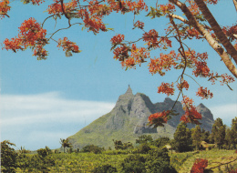 ILE MAURICE,MAURITIUS,archipel Des Mascareignes,océan Indien,ile Volcanique,MONTAGNE PIETERBOTH,ETE - Maurice