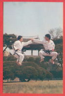 135869 / International Taekwon-Do Federation (ITF) Taekwondo Organization Founded Mar. 22, 1966, By General Choi Hong Hi - Martial