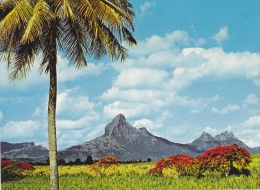 ILE MAURICE,MAURITIUS,archipel Des Mascareignes,océan Indien,ile Volcanique,MONTAGNE REMPART,TROIS MAMELLES TAMARIN - Mauricio