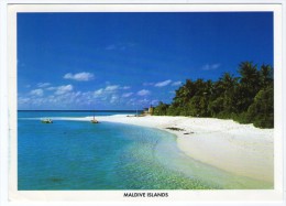 MALDIVES-MADOOGALI ISLAND RESORT / THEMATIC STAMP-FISH - Maldive