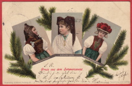 Gruss Aus Dem Schwarzwald / Hornberg 6.IV.1906 / Vordruckkarte / Ohne Defekt - Hornberg