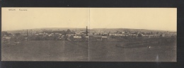 Delcampe - CP Hirson Panorama - Hirson