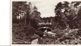 Berg En Bos - Apeldoorn