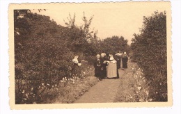 B4453    WOMMELGHEM : Rusthuis - Zicht In Den Moestuin - Wommelgem