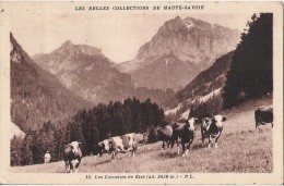 LES CORNETTES DE BISE CPA NO 15 TROUPEAU DE VACHE PHOTO M. LESCUYER - La Chapelle-d'Abondance