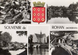 SOUVENIR DE ROHAN MULTIVUS - Rohan