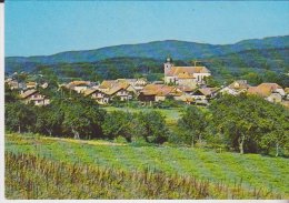 Provenchères Sur Fave Vue Générale - Provencheres Sur Fave