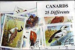 CANARDS Lot De 25 Timbres Tous Differents. Satisfaction Assurée - Patos