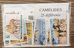 CAMELIDES. DROMADAIRES. CHAMEAUX, Chameau Lot De 25 Timbres Tous Différents. Satisfaction Assurée - Autres & Non Classés