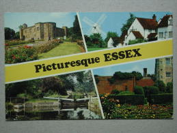 Picturesque Essex - Other & Unclassified