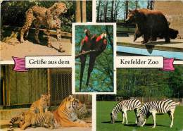CPSM Krefeld-Zoo   L1452 - Krefeld