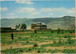 A Farm In Wadi Najran - Arabie Saoudite