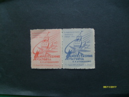 Etichetta Label Cinderella Chiudilettera COPPIA Manifestazione AVIATORIA  Firenze Maggio 1949 - Fiscaux