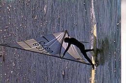 WINDSURFERS EN MEDITERRANEE Surf Windsurf Planche à Voile Sport Nautique Voile - Water-skiing