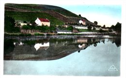 CPA - MAREUIL-SUR-AY - VIGNOBLE LES GOISSES - EFFET BOUTEILLE DE CHAMPAGNE - Colorisée - Déb 50 - - Mareuil-sur-Ay