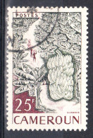 CAMEROUN YT 309 Oblitéré - Used Stamps