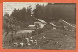 FEL350, Monts De Cheseaux , Puidoux, Pâturage , Vaches, 7971, Animée, Circulée Sous Enveloppe - Puidoux