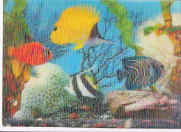 AK FISCHE  3 D LENTICULAR 3D TRI DIMENSION EXOTIC FISH AQUARIUM OLD POSTCARD 1959 - Poissons Et Crustacés