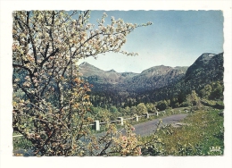 Cp, 15, Route De Salers Au Puy MAry, Entrée Du Coumplot, Voyagée 1961 - Sonstige & Ohne Zuordnung