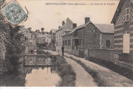 76 - MONTIVILLIERS / LES BORDS DE LA LEZARDE - Montivilliers