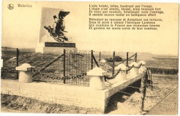 Waterloo - Monument Français - & Statue - Other & Unclassified