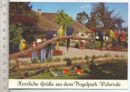 Vogelpark Walsrode – Ara-Freianlage, Verlag: Horst Müller, Postkarte,  Erhaltung: I –II, Karte Wird In Klarsichthülle - Walsrode