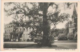 Tamsel Bei Cüstrin Schloßgarten Mit Schloß Kirche 10.5.1931 Dąbroszyn Kostrzyn Nad Odra Küstrin Kustrin - Neumark