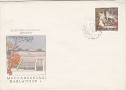 CAVES FROM HUNGARY, ANNA CAVE, SPECIAL COVER, 1989, HUNGARY - Storia Postale