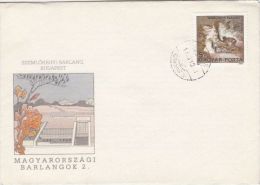 CAVES FROM HUNGARY, SZEMLOHEGYI CAVE, SPECIAL COVER, 1989, HUNGARY - Covers & Documents