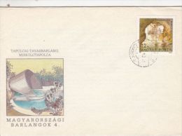 CAVES FROM HUNGARY, TAPOLCAI- TAVAS CAVE, SPECIAL COVER, 1989, HUNGARY - Cartas & Documentos