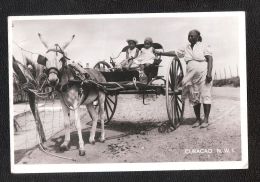 RP RPPC CURACAO Native Donkey Cart W Cute Children Old Photo  Viaggiata - Curaçao