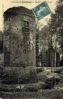 77 - FONTENAY-TRÉSIGNY - Les Ruines Du Vivier - Fontenay Tresigny