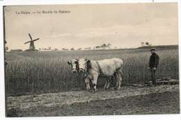 26236  -  La  Hulpe    Le  Moulin  De Malaise    -attelage - La Hulpe