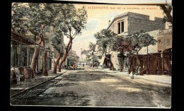 Carte Postale ALEXANDRIE Rue De La Colonne De Pompey - Alexandrië
