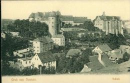 Litho Nossen Schloss Mühle Wohnhaus Häuser Um 1920 - Nossen