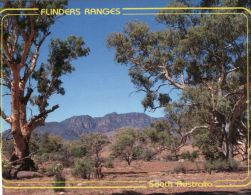 (836) Australia - SA - FLinders Ranges - Flinders Ranges