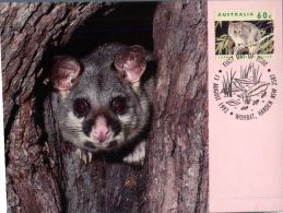 (836) Australia - Possum Maximum Card - Outback