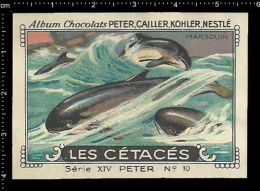 Old Original Swiss Poster Stamp (cinderella, Label) Marine Mammals - Dolphin, Porpoise,marsouin ,Tümmler,Schweinswale - Delfines