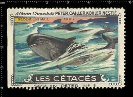 Old Original Swiss Poster Stamp (advertising Cinderella, Label)Marine Mammals, Globicephale, Pilot Whale, Grindwal - Balene