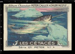 Old Original Swiss Poster Stamp (advertising Cinderella, Label) Marine Mammals, Narval, Narwhal, Whale - Baleines