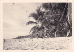 COLONIE FRANCAISE,MADAGASCAR,MADA GASIKARA,MALGACHE,HELL-VI LLE EN 1964,ile De NOSY BE,PLAGE,CAMP DE REPOS,BAIE AMPHORA - Places