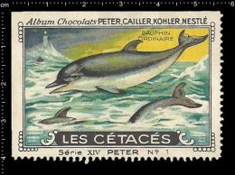 Old Original Swiss Poster Stamp (advertising Cinderella, Label)Marine Mammals, Dauphin, Dolphin, Delphin - Dolphins