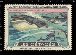 Old Original Swiss Poster Stamp (advertising Cinderella, Label) Marine Mammals, Whale, Walfisch,  Baleine - Whales