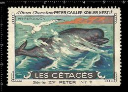 Old Original Swiss Poster Stamp (advertising Cinderella, Label) Marine Mammals, Hyperoodo, Bottlenose Whale, Entenwale - Baleines